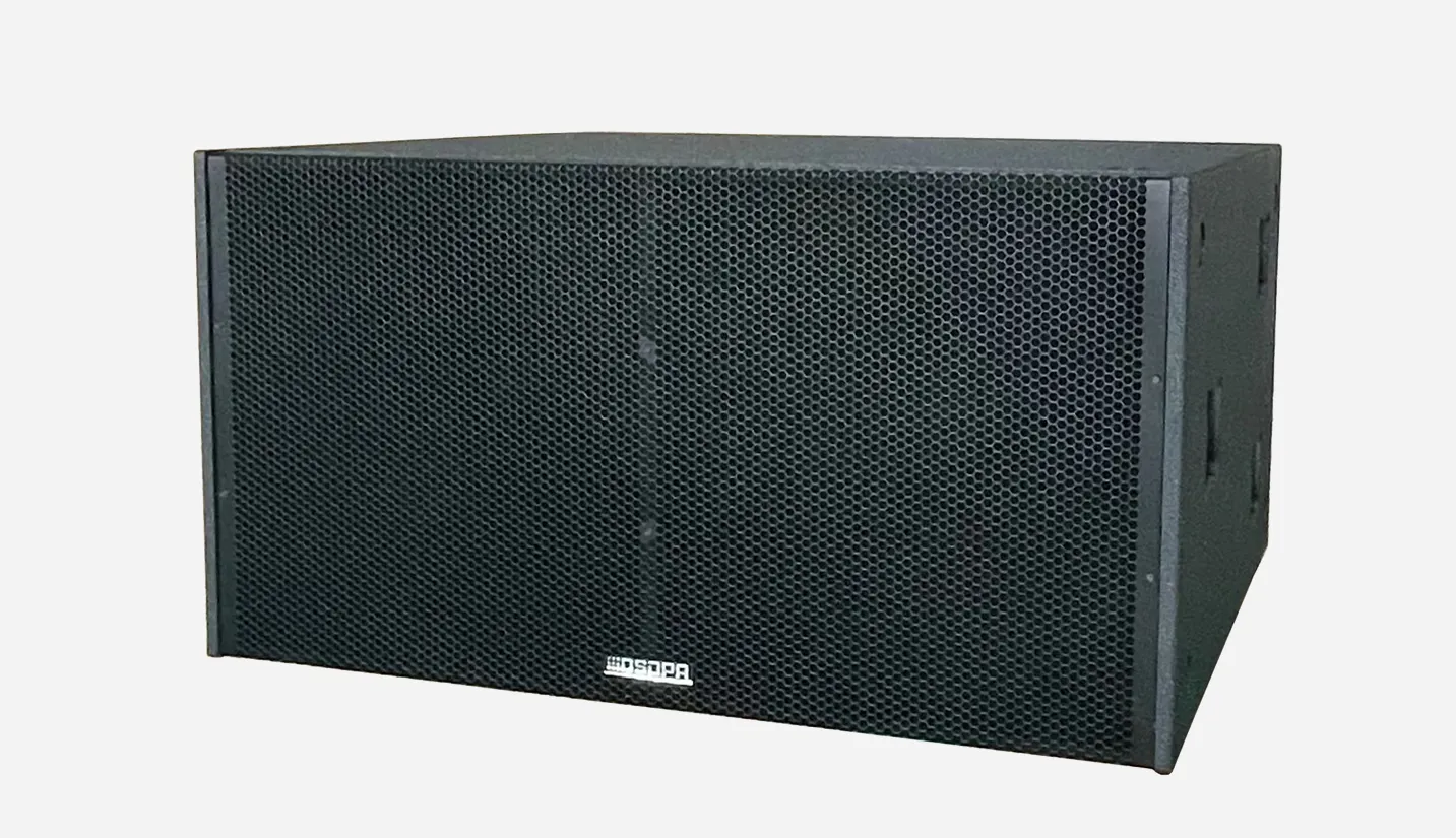 Dual 18 Inch 1200W High Power Woofer Professional Bass Subwoofer Speaker - 翻译中...